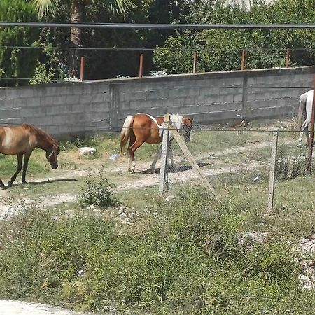 Villa Likaj เบราท ภายนอก รูปภาพ