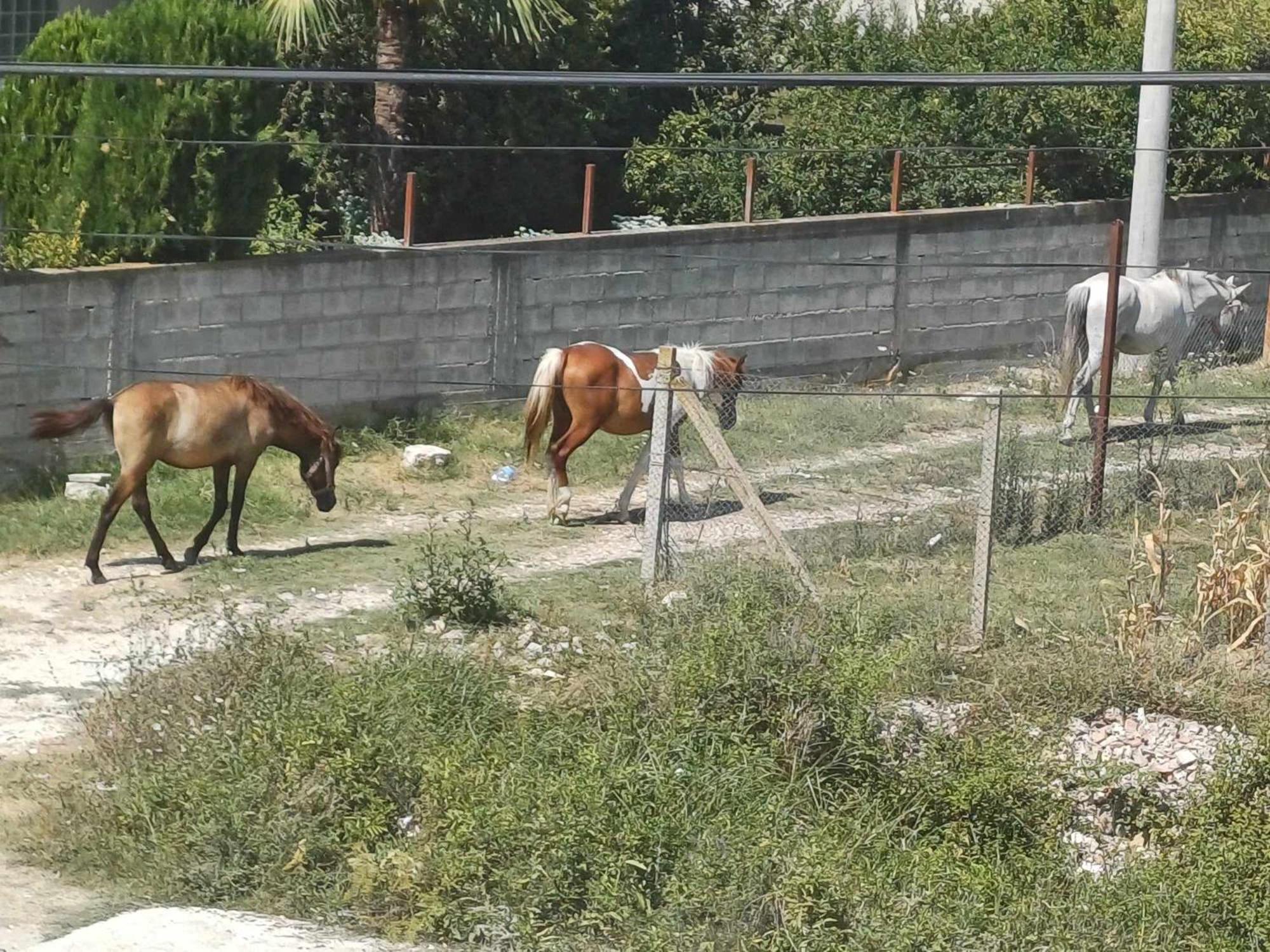 Villa Likaj เบราท ภายนอก รูปภาพ